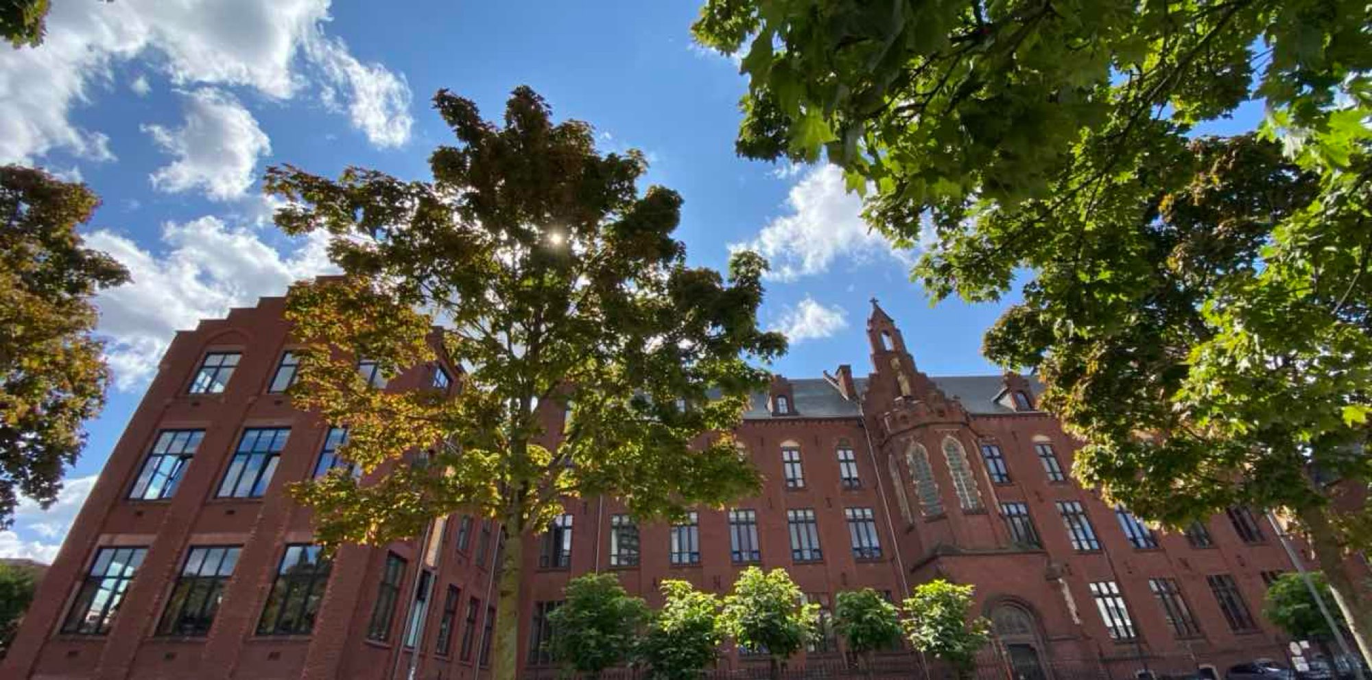 Hasselt Scavenger Hunt scavenger hunt photos