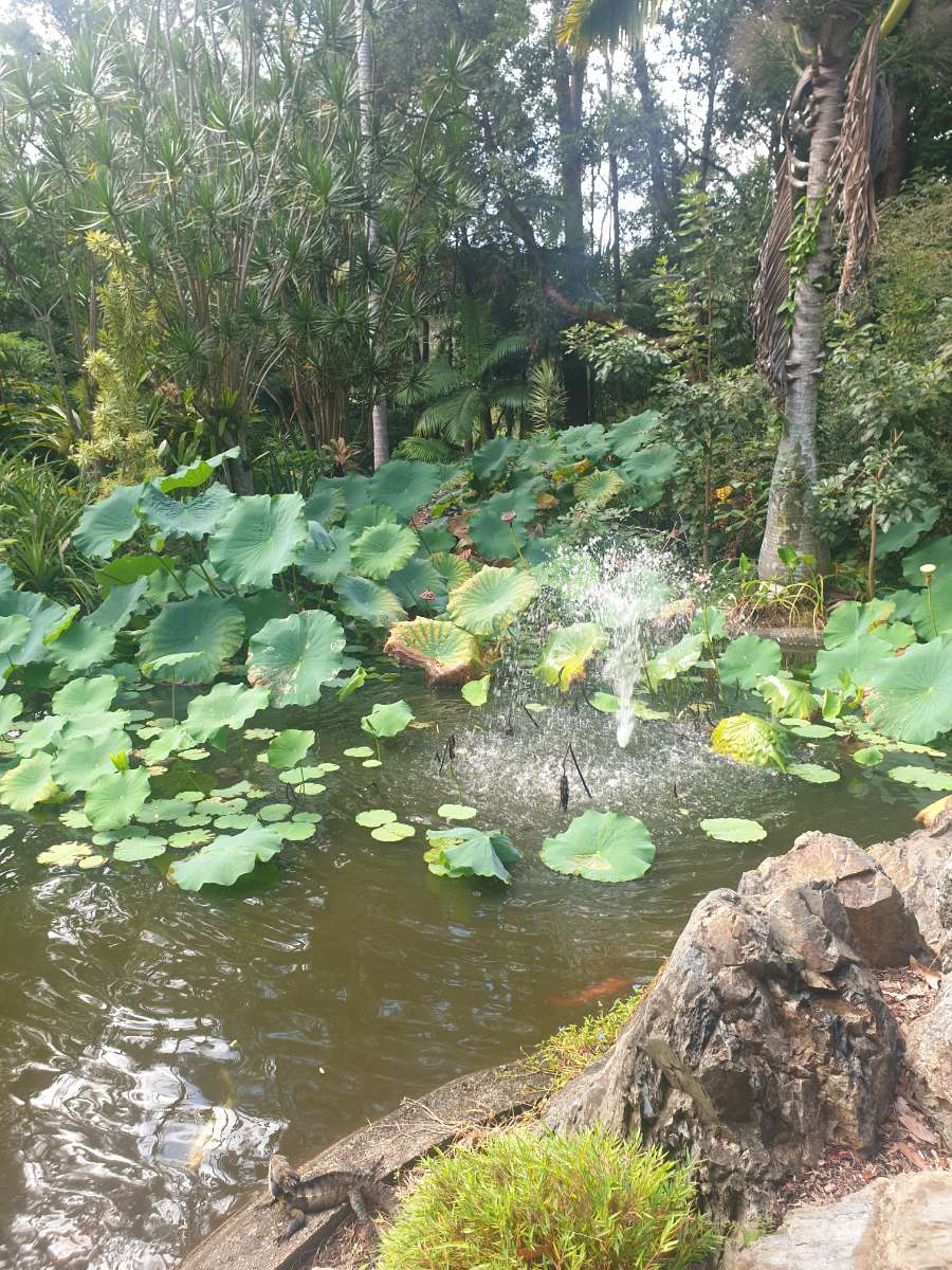 코프스하버 스캐빈저 헌트 스캐빈저 헌트 사진