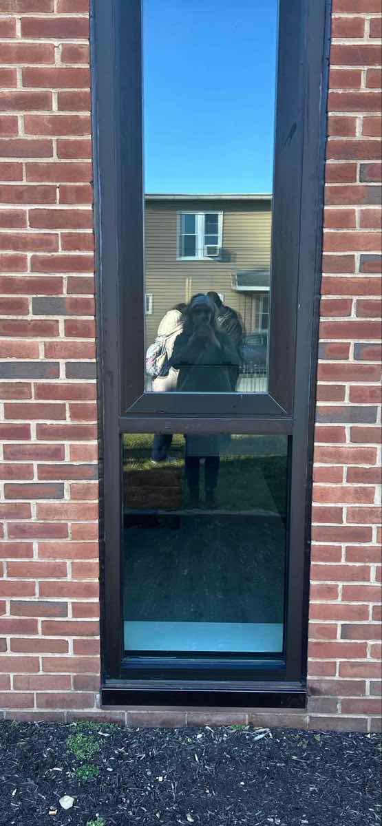 Fotografii cu Vânătoarea de Comori Lemoyne