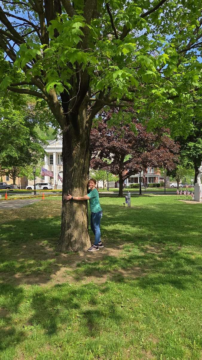 Wellsboro Scavenger Hunt scavenger hunt photos
