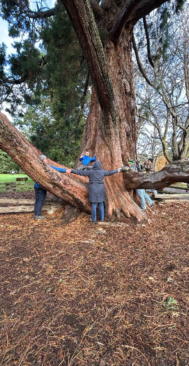 Victoria British Columbia Downtown Scavenger Hunt scavenger hunt photos