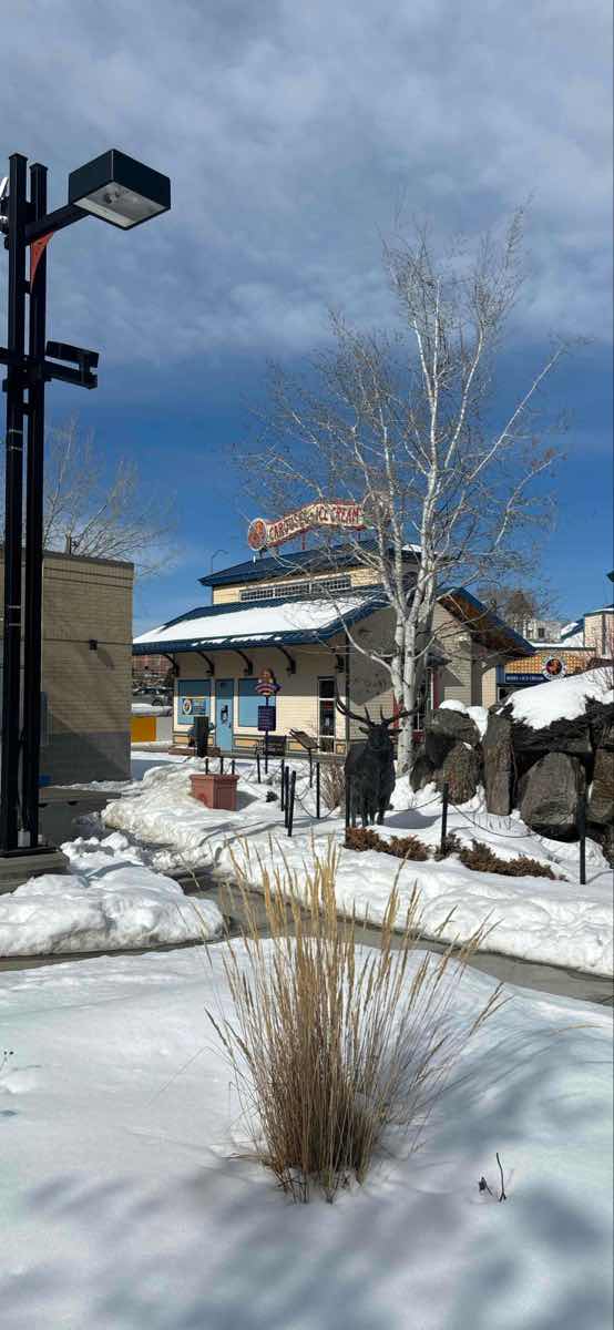 صور مطاردة الزبالين في هولاند