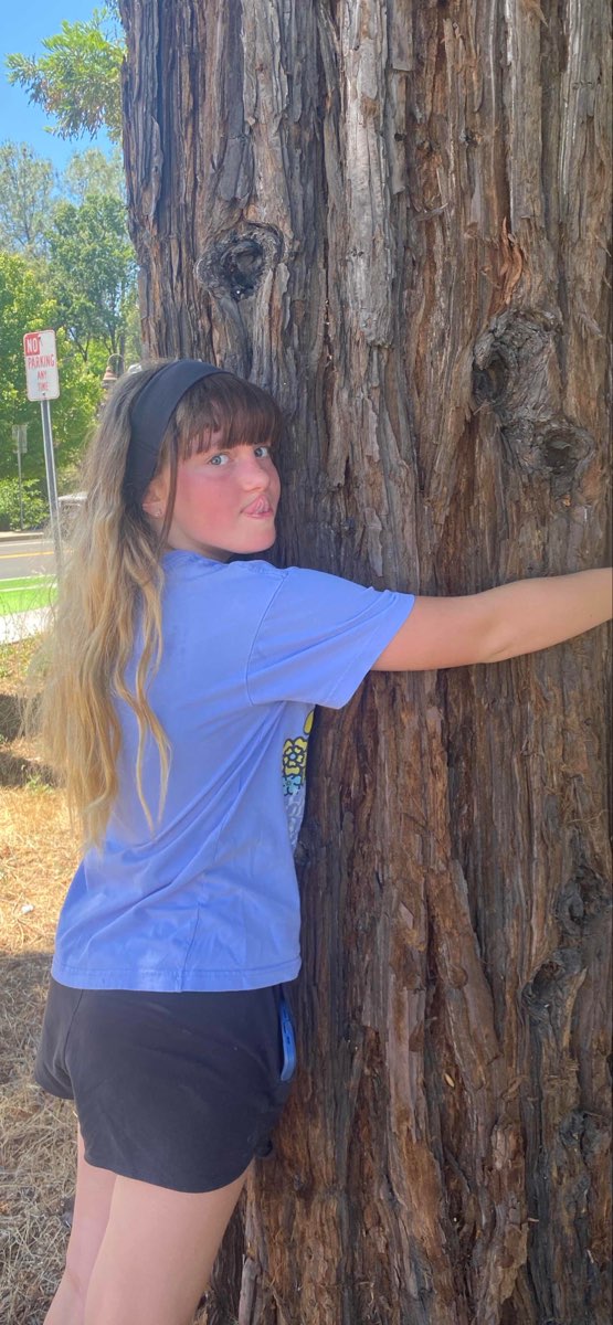 Placerville 스캐빈저 헌트 스캐빈저 헌트 사진