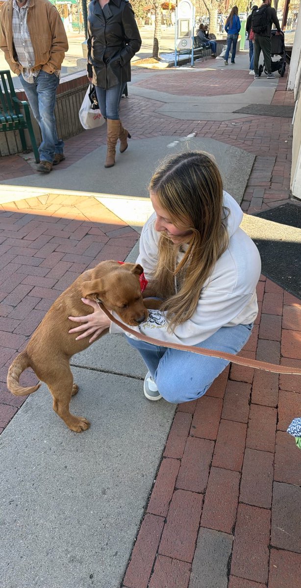 Estes Park Ghost Tour scavenger hunt photos