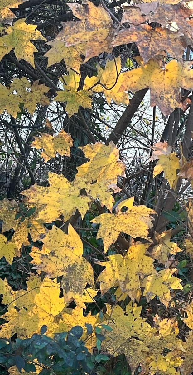 Foto della Caccia al Tesoro di Cobbelstone Square