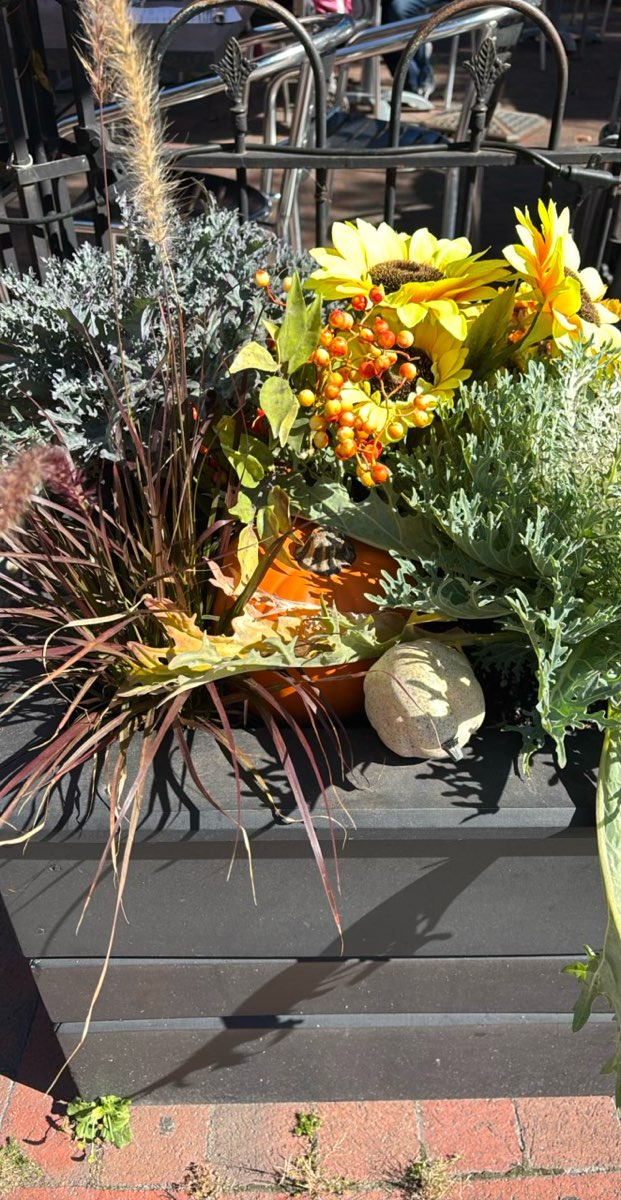 Newburyport Scavenger Hunt scavenger hunt photos