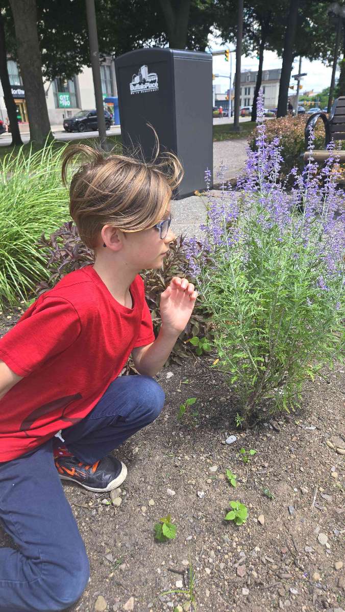 Photos de la Chasse au Tr&eacute;sor du Centre-ville de Buffalo&comma; New York