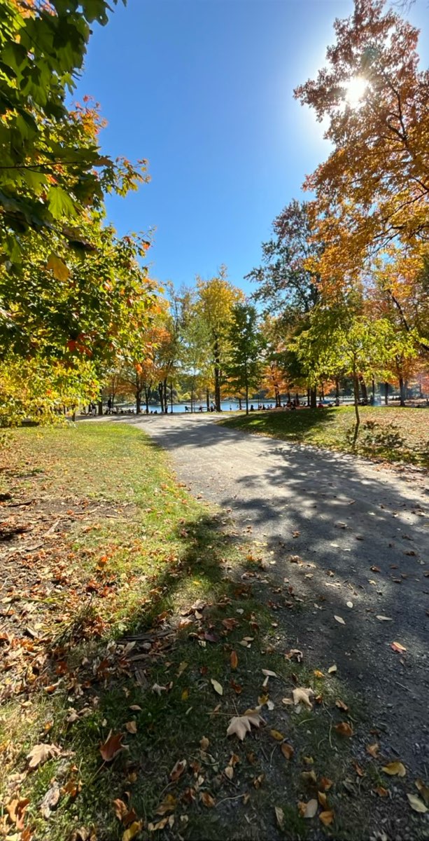 team building scavenger hunt