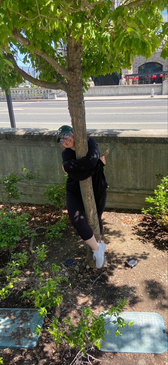 skattjakt för teambuilding