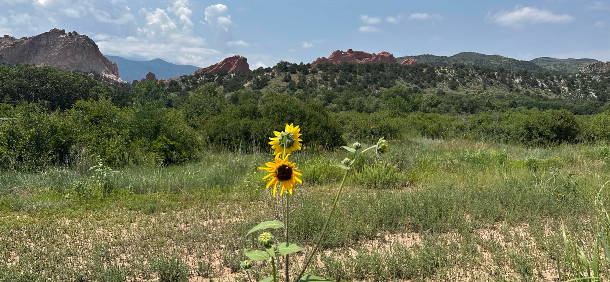 Manitou Springs Scavenger Hunt scavenger hunt photos