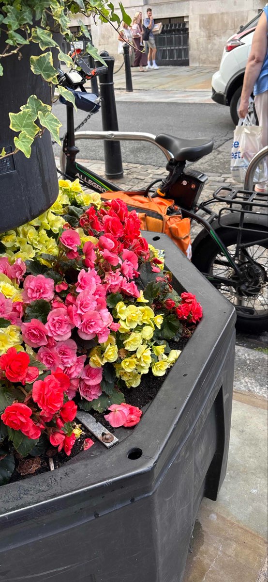 Colchester Scavenger Hunt scavenger hunt photos