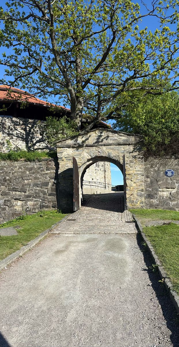 Kristiansand Scavenger Hunt scavenger hunt photos