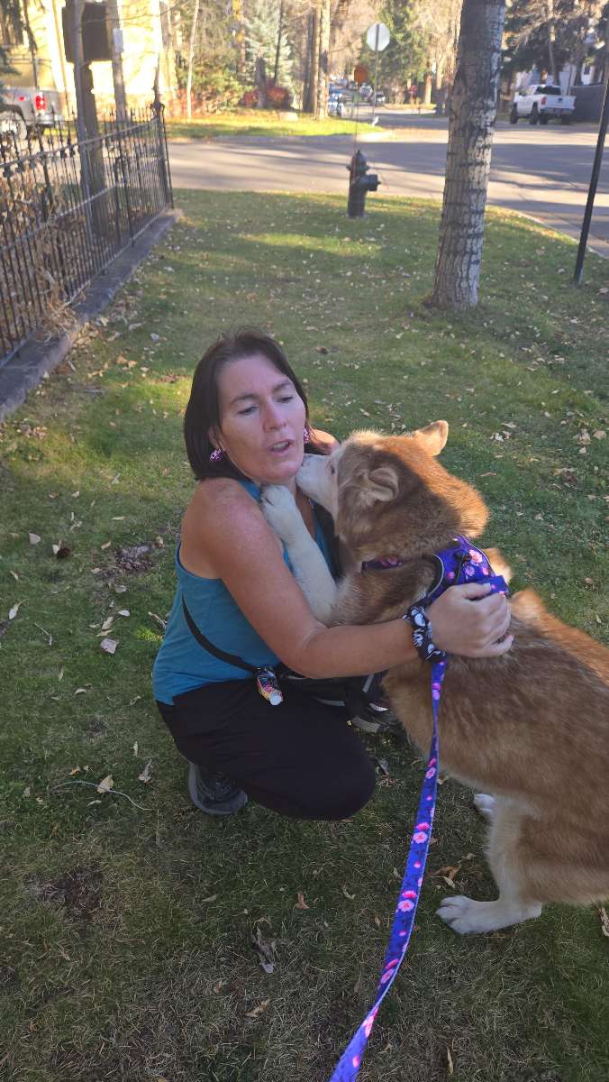 Aspen Art Walk scavenger hunt photos