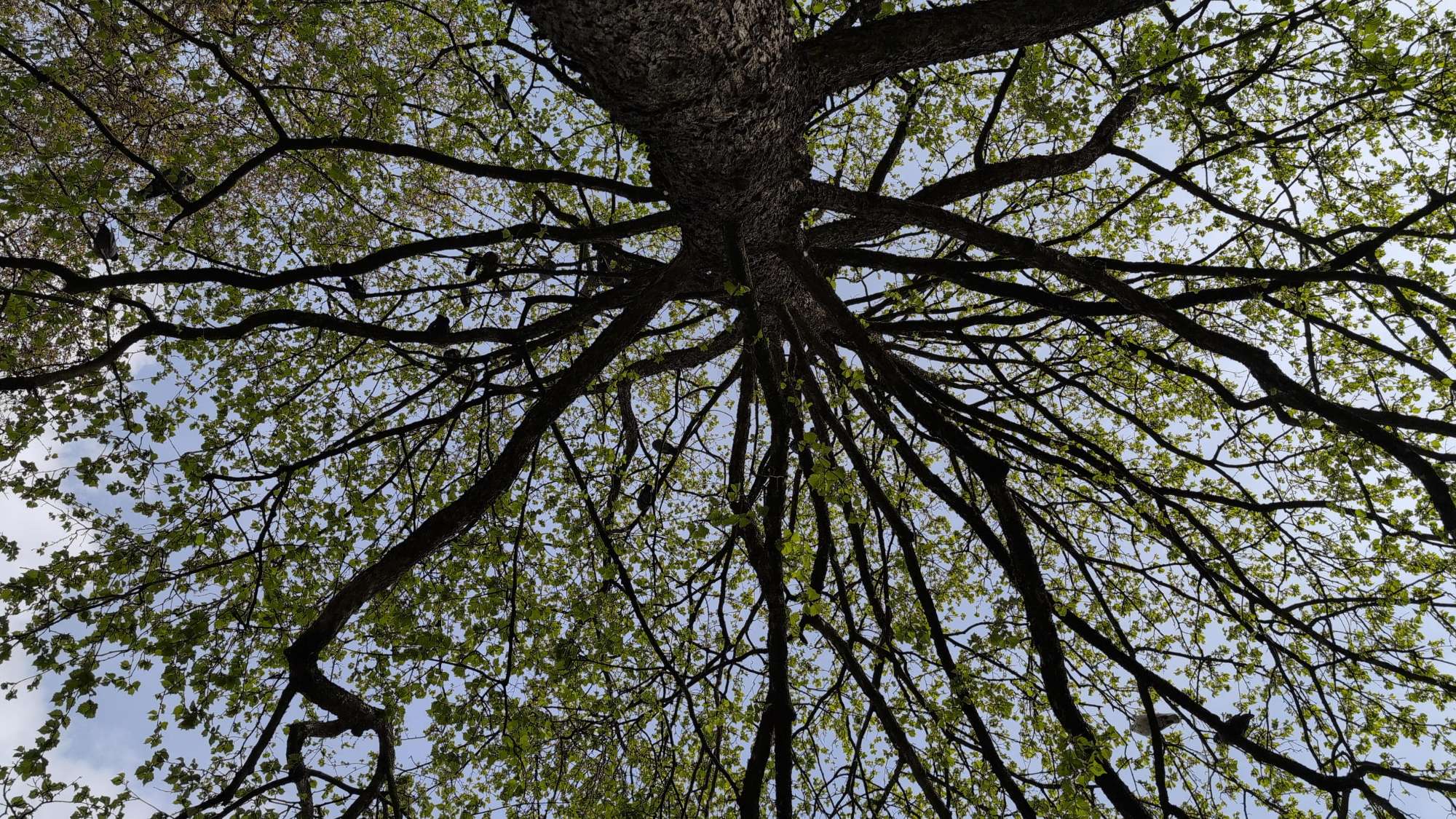 Foto della caccia al tesoro del Ghost Tour di Utrecht