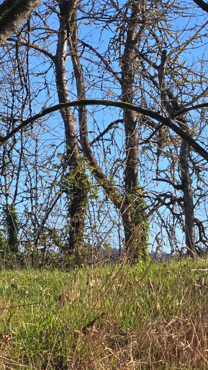 University of Oregon Scavenger Hunt scavenger hunt photos