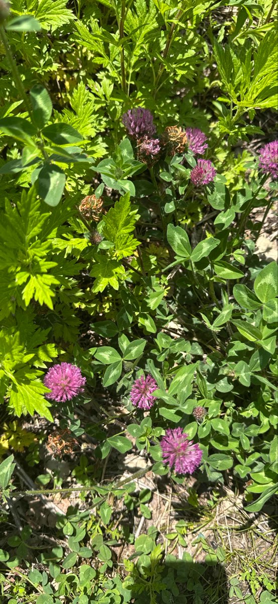 Kent Narrows Scavenger Hunt scavenger hunt photos