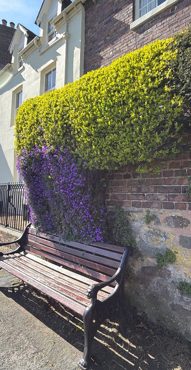 Bridgnorth Skattjakt skattjakt bilder