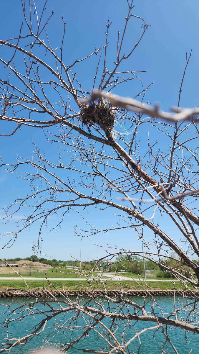 Ferrelview Scavenger Hunt – Fotos der Schnitzeljagd