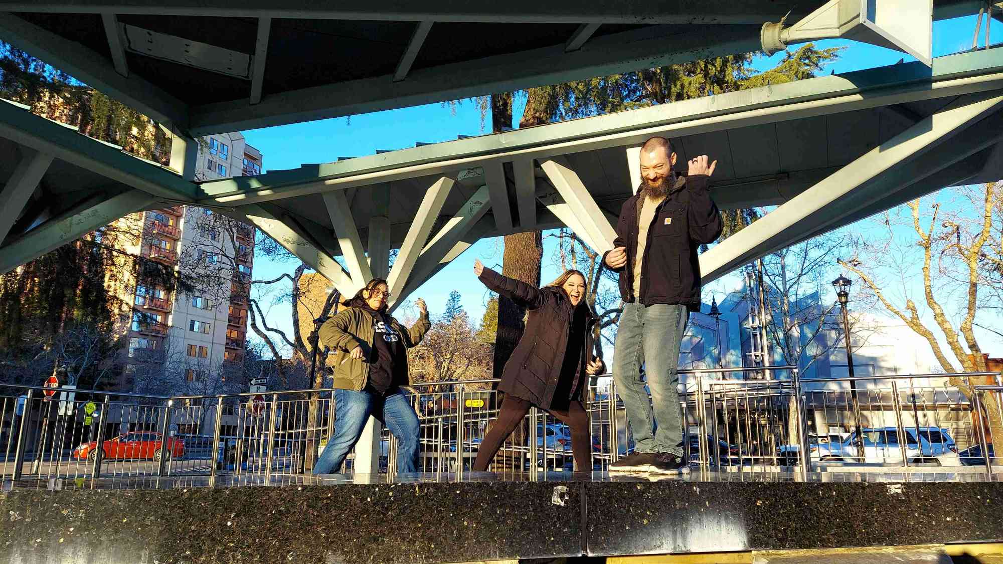 Fotografii V&acirc;n&abreve;toare de Comori Concord California