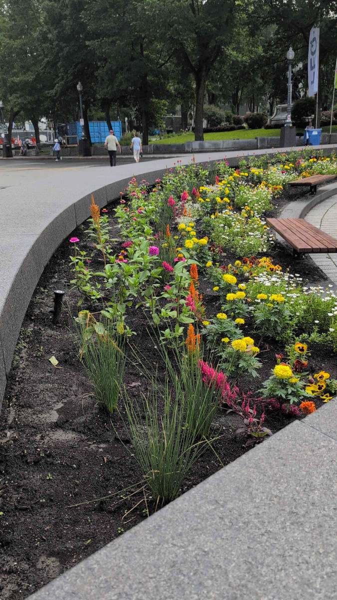 Quebec City Scavenger Hunt scavenger hunt photos