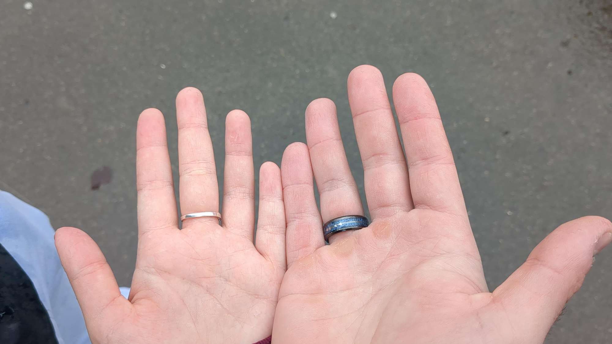 &Fcy;&ocy;&tcy;&ocy;&gcy;&rcy;&acy;&fcy;&icy;&icy; &kcy;&vcy;&iecy;&scy;&tcy;&ocy;&vcy; &laquo;&Kcy;&vcy;&iecy;&scy;&tcy; &pcy;&ocy; &Scy;&acy;&jcy;&rcy;&iecy;&ncy;&chcy;&iecy;&scy;&tcy;&iecy;&rcy;&ucy;&raquo;