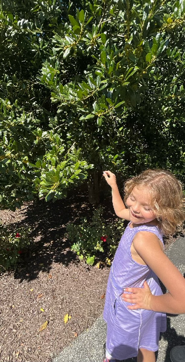 Phoenixville Scavenger Hunt scavenger hunt photos