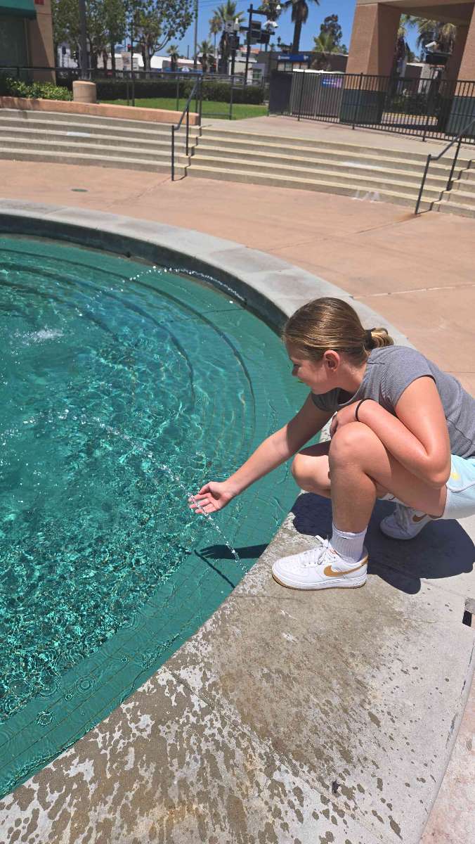 Fotografii v&acirc;n&abreve;toare de comori La Mesa