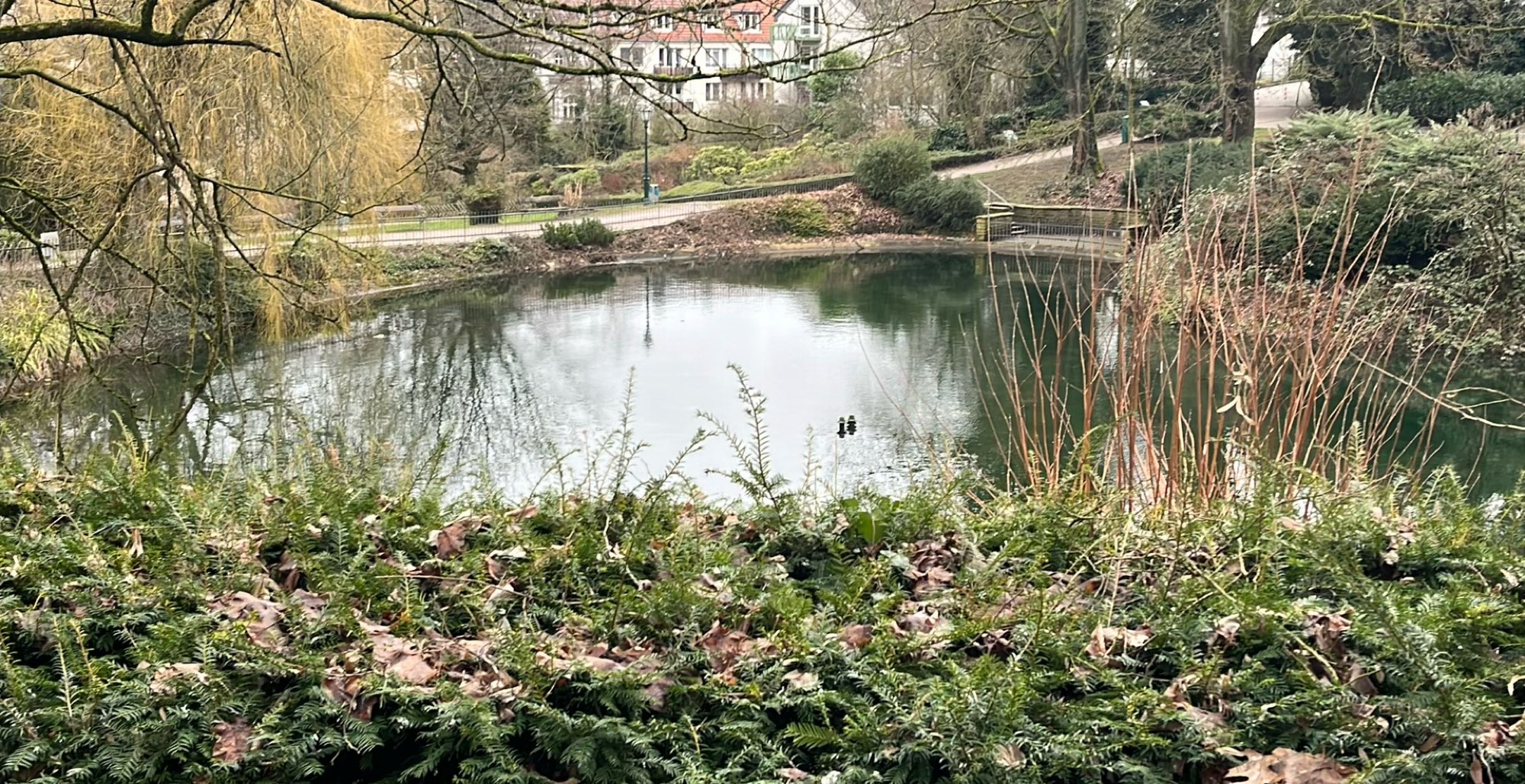 부퍼탈 스캐빈저 헌트 스캐빈저 헌트 사진