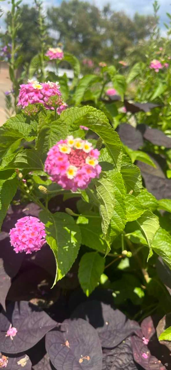 Tupelo Scavenger Hunt scavenger hunt photos