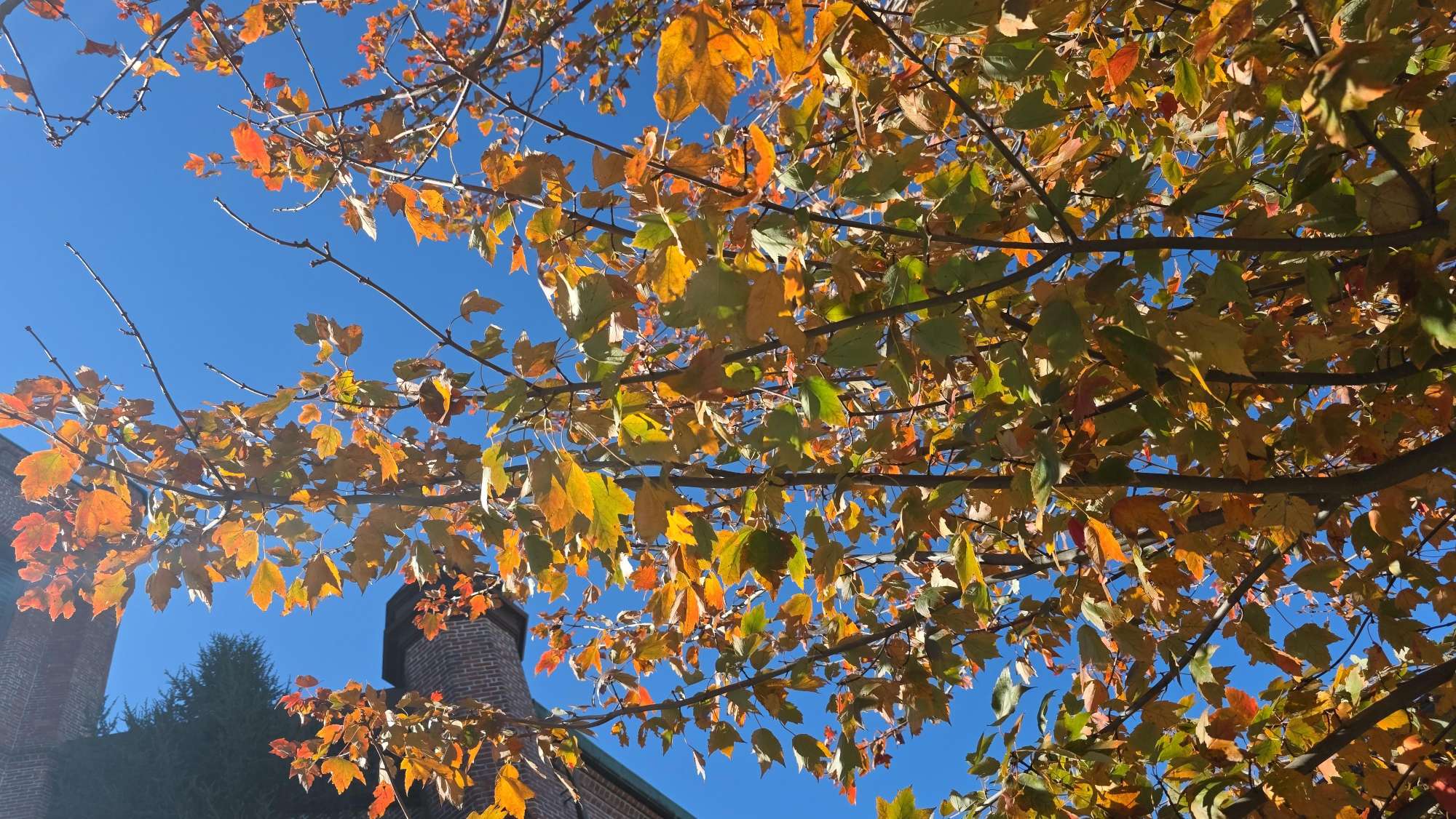 Fall River Scavenger Hunt scavenger hunt photos