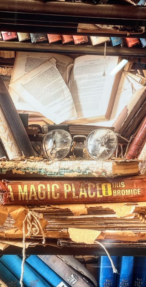 애슈빌 유령 투어 스캐빈저 헌트 사진