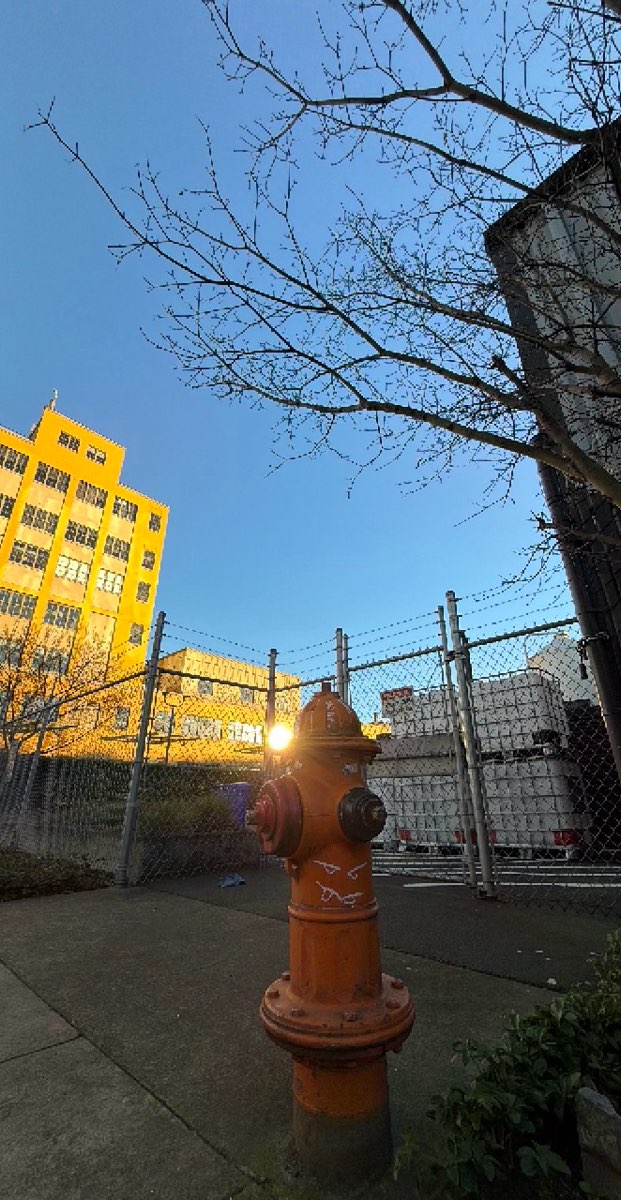 东南波特兰寻宝活动照片