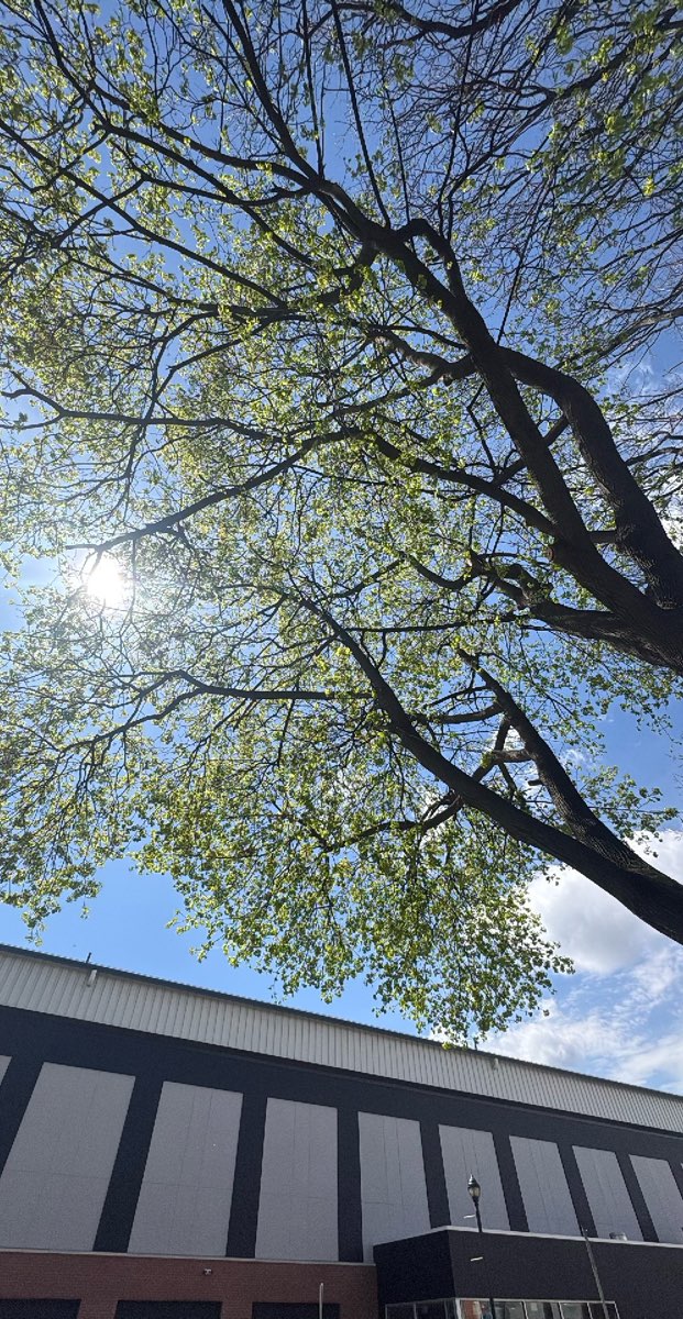 Фотографии квеста по городу Элмира, Нью-Йорк