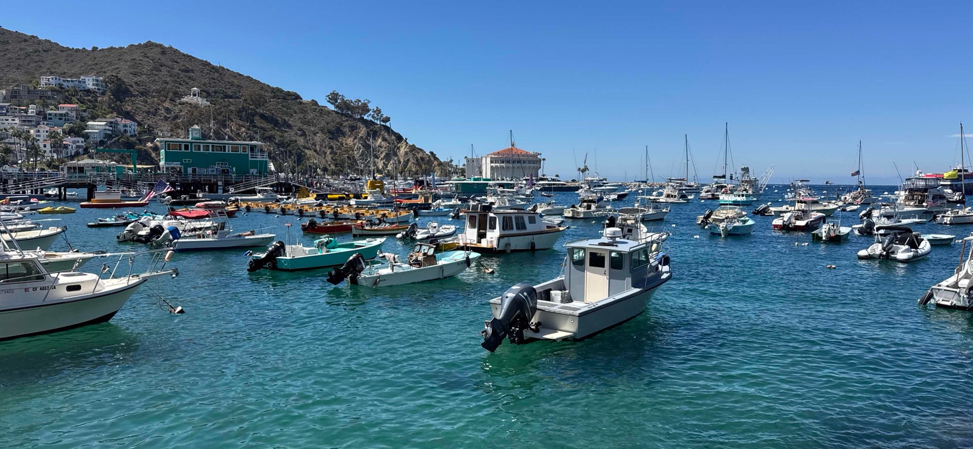 아발론 스캐빈저 헌트 스캐빈저 헌트 사진