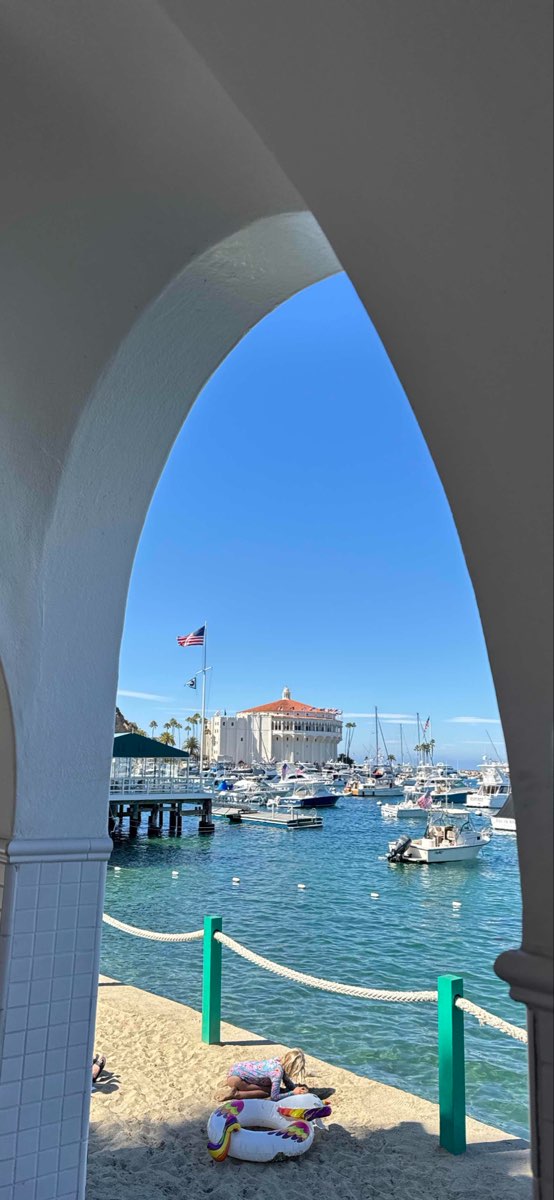 아발론 스캐빈저 헌트 스캐빈저 헌트 사진