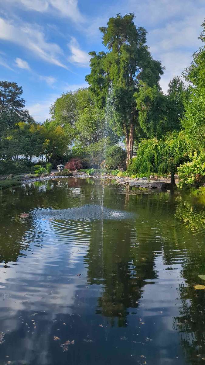 Penticton Scavenger Hunt scavenger hunt photos