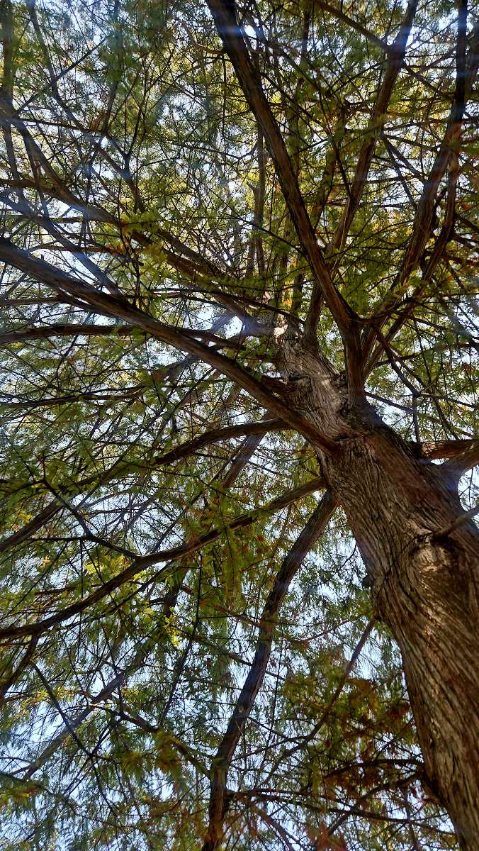 Foto della Caccia al Tesoro di Paris Texas