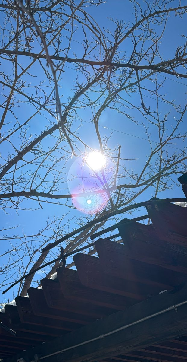 카납 스캐빈저 헌트 스캐빈저 헌트 사진