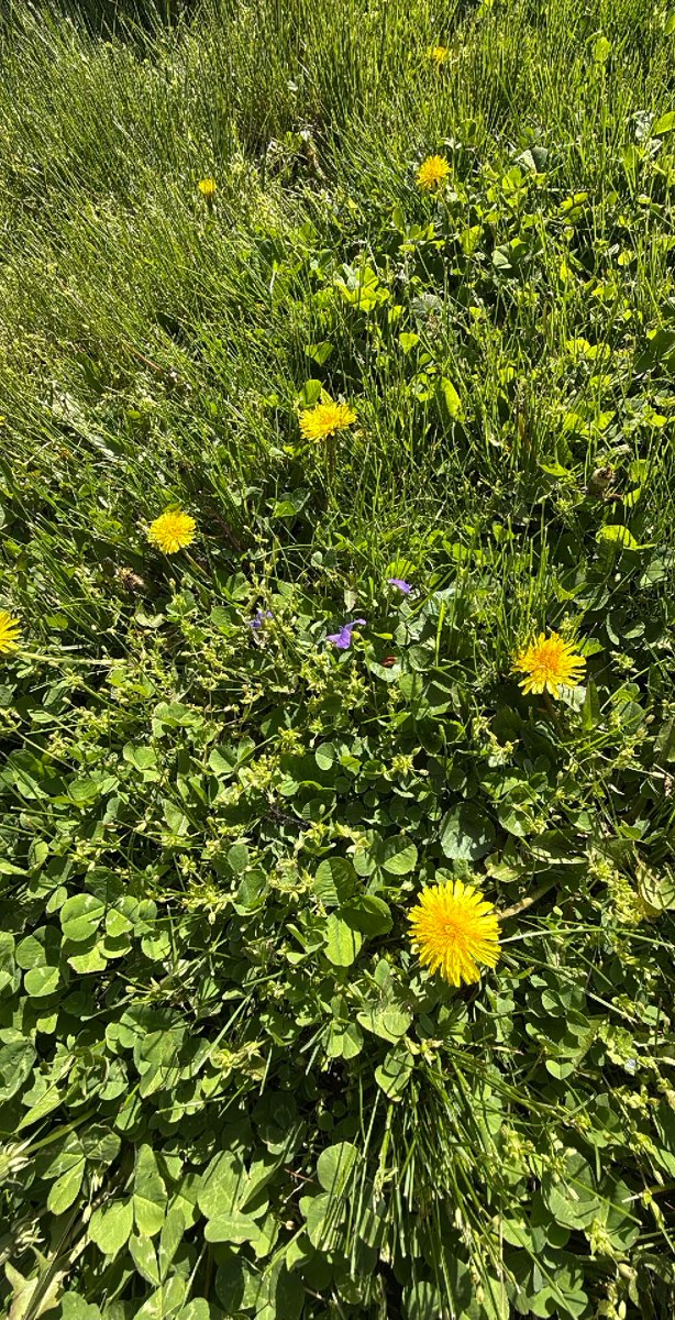 Fotos da caça ao tesouro Newark Ohio Scavenger Hunt