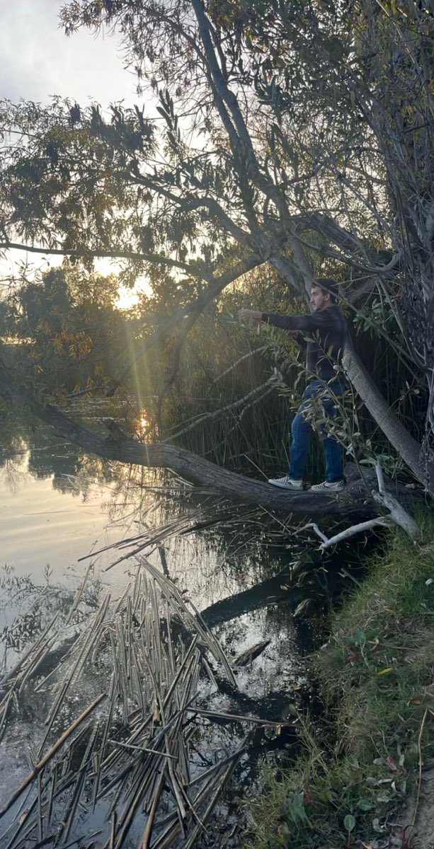 Long Beach California Art Walk scavenger hunt photos