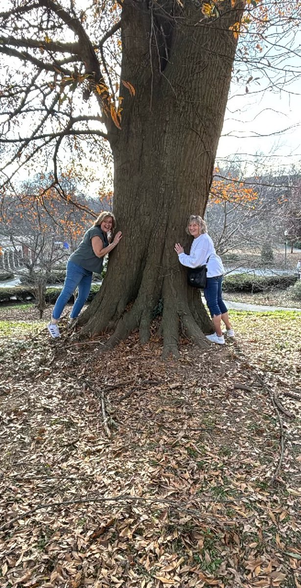 Sweet Aurburn Scavenger Hunt scavenger hunt photos