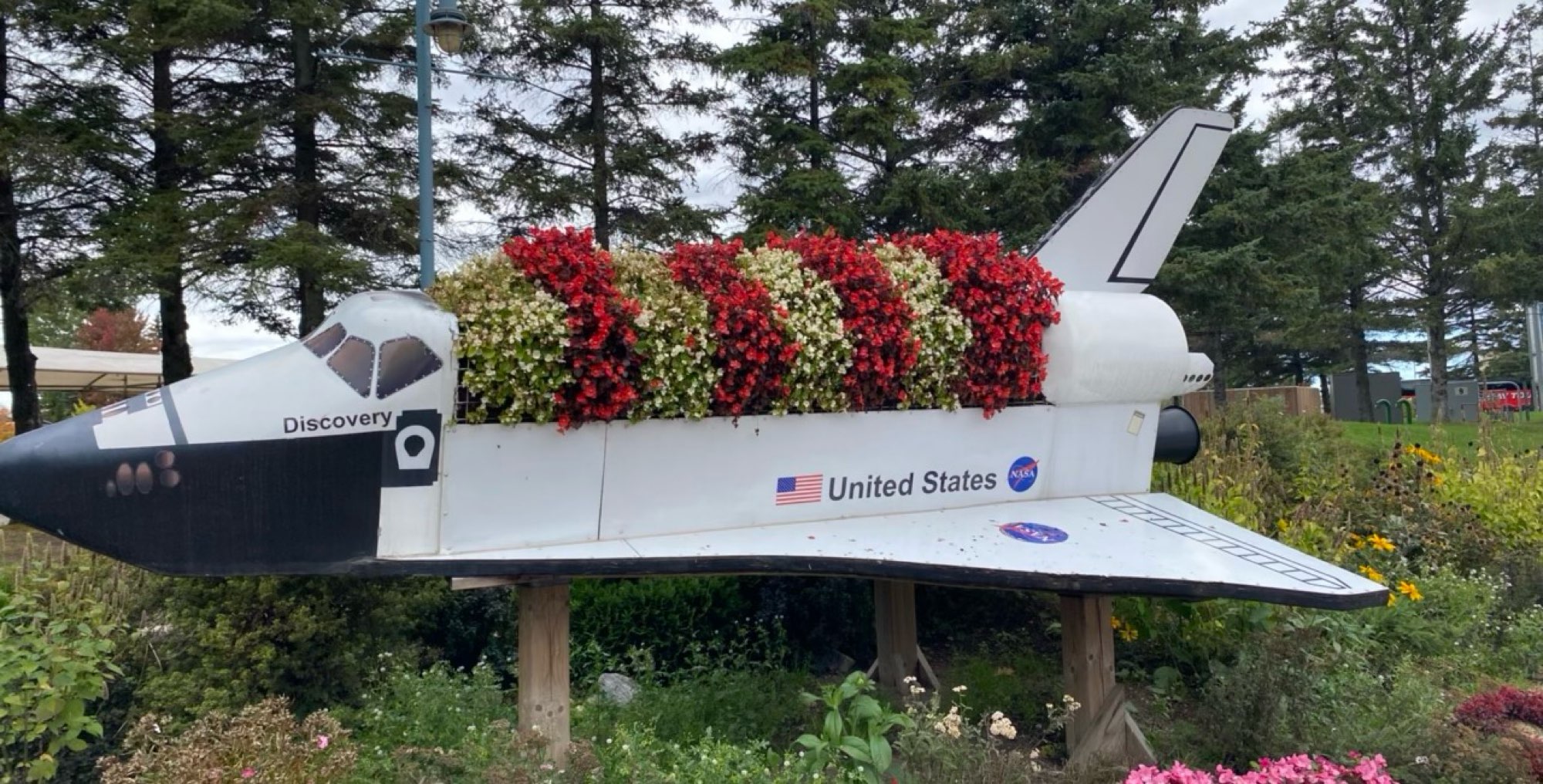 Sault Ste Marie Ontario Scavenger Hunt scavenger hunt photos