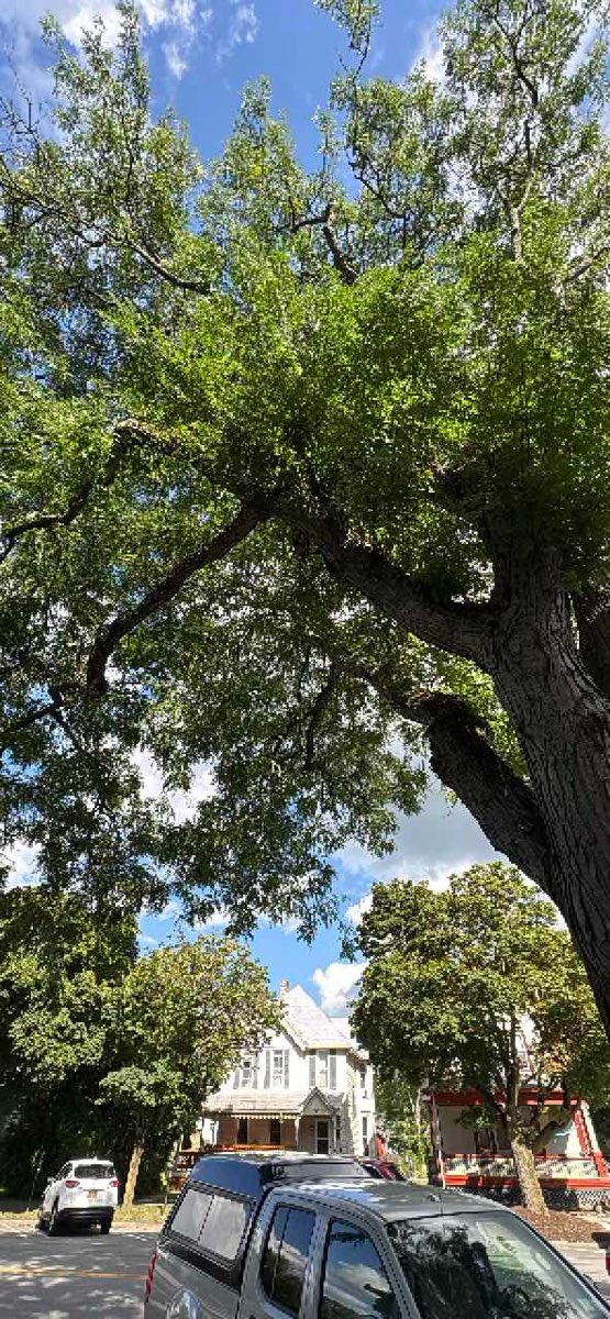 团队建设寻宝游戏