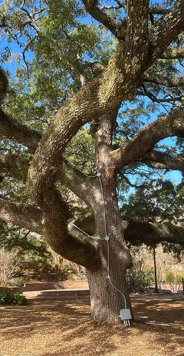 team building scavenger hunt