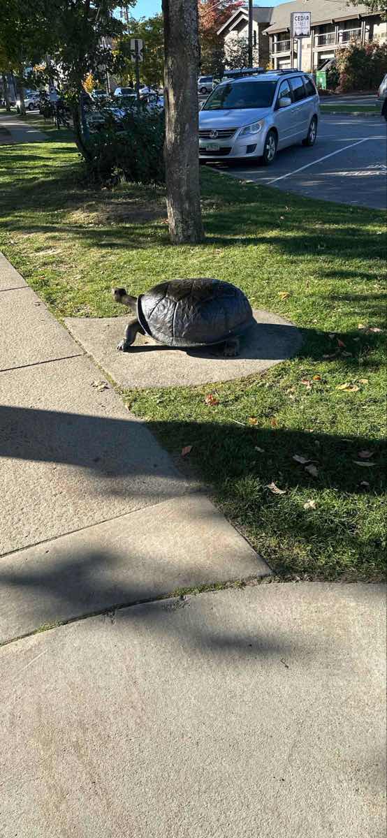 Sandpoint Scavenger Hunt scavenger hunt photos