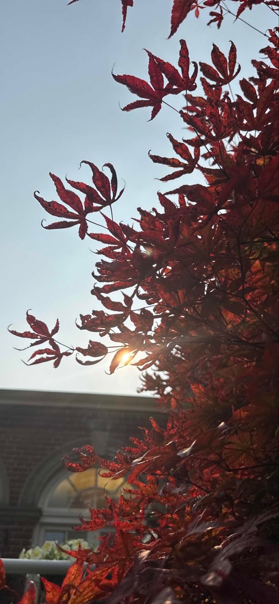 Toronto Downtown Scavenger Hunt scavenger hunt photos