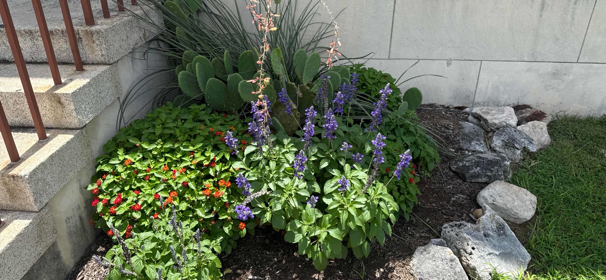 스미스빌 스캐빈저 헌트 스캐빈저 헌트 사진