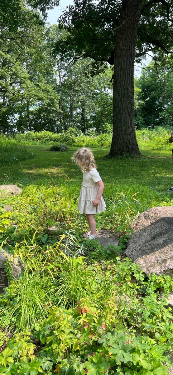 Madison Wisconsin Downtown Scavenger Hunt scavenger hunt photos