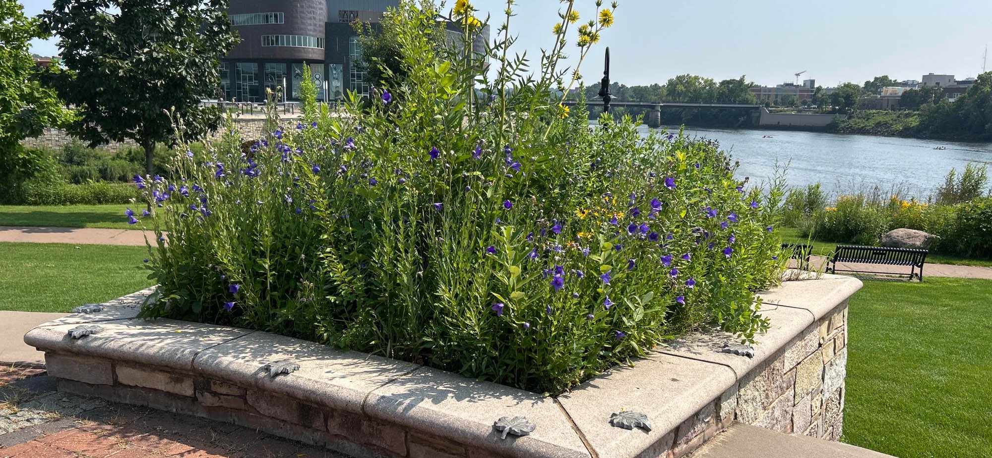 صور البحث عن الكنز في أو كلير