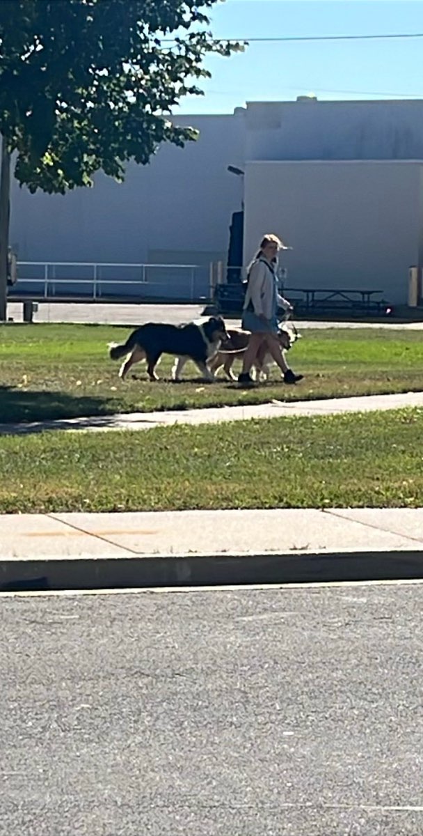 Stevens Point Scavenger Hunt scavenger hunt photos